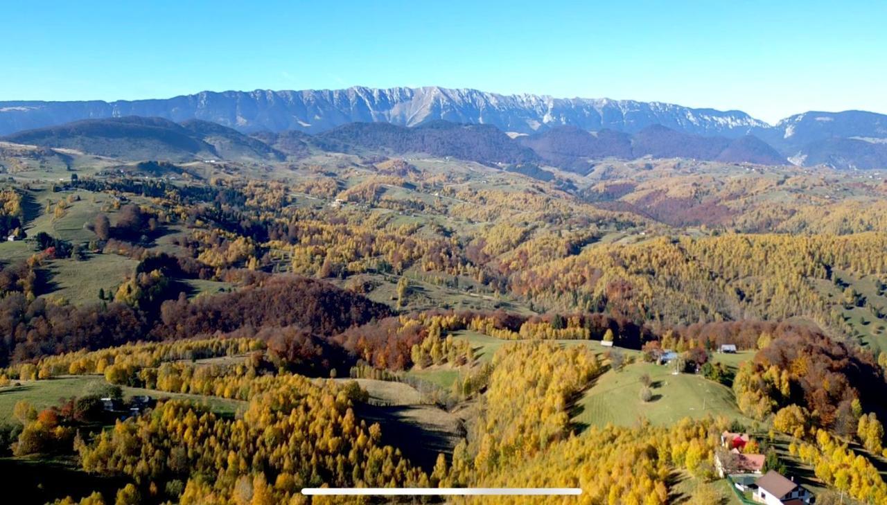 Prater House Mountain View Villa Moieciu de Jos Buitenkant foto