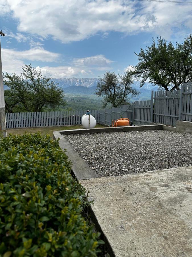 Prater House Mountain View Villa Moieciu de Jos Buitenkant foto