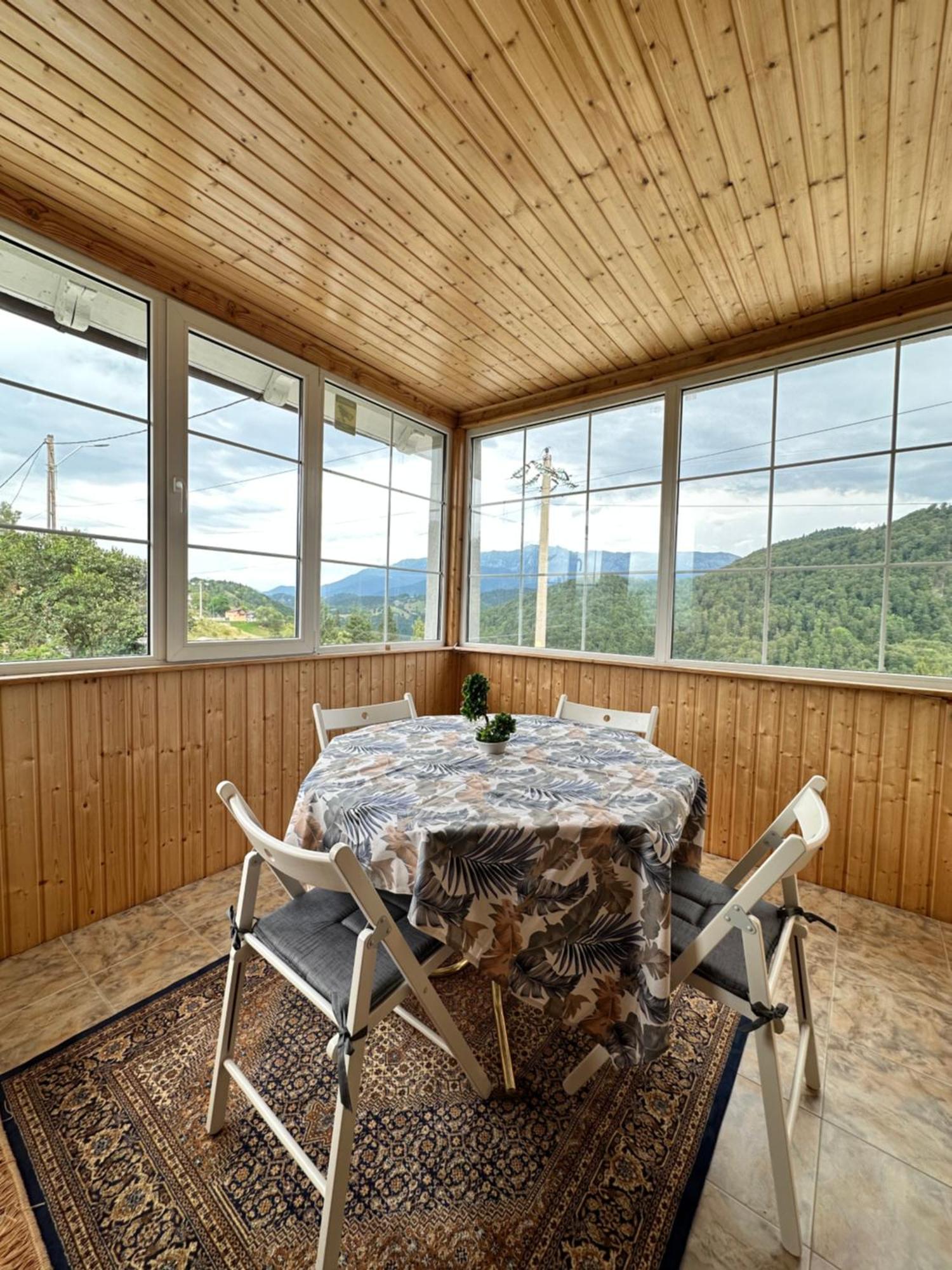 Prater House Mountain View Villa Moieciu de Jos Buitenkant foto